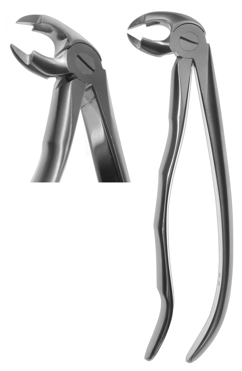22P English Forceps (Profile Handle) [Z2211] Zoll Dental