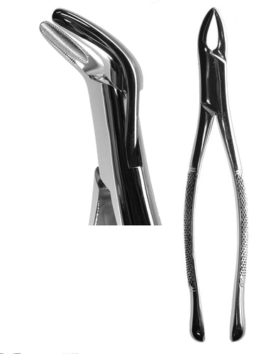 #151 Cryer Forceps (Serrated)  [Z-1198-S]