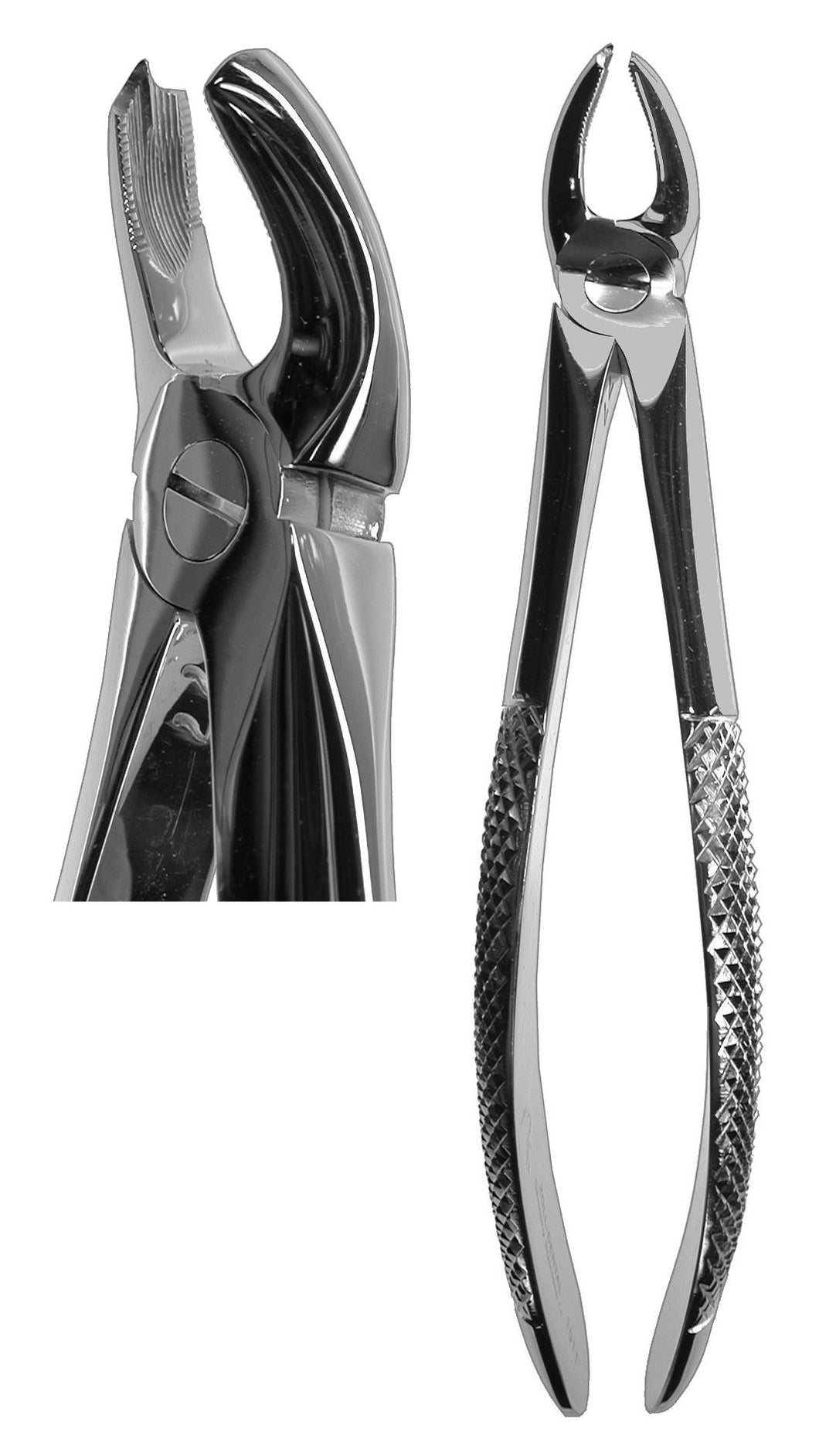 #17 English Forceps  (Z-1011)