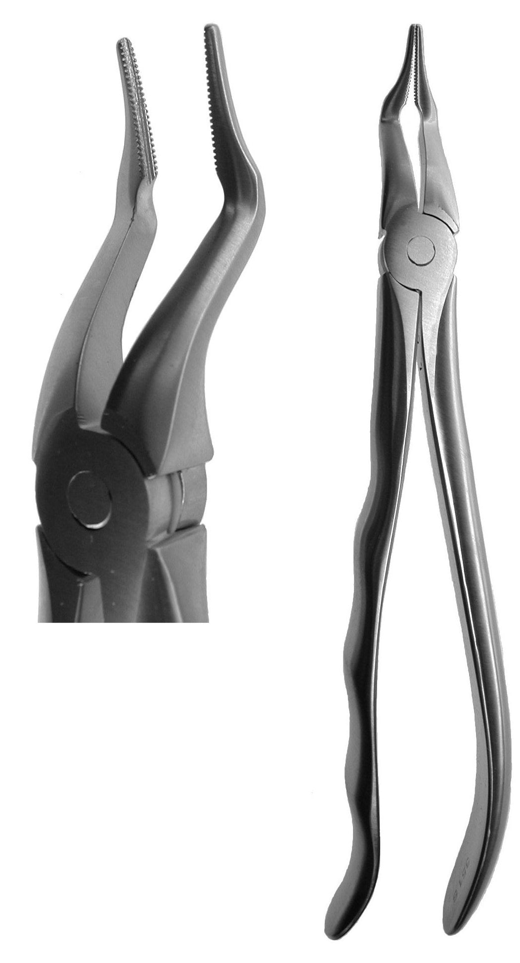 #351S Root Forceps (Profile Handle)  [Z-2187]