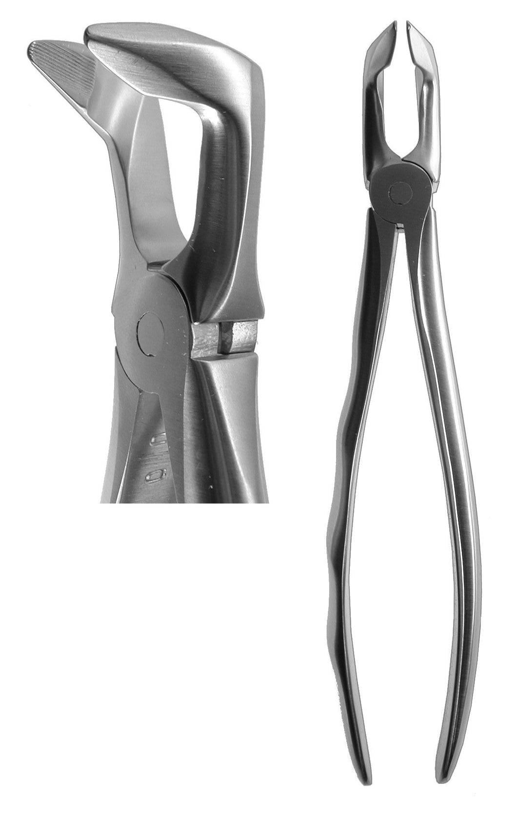 #79N English Forceps (Profile Handle)  [Z-2210]