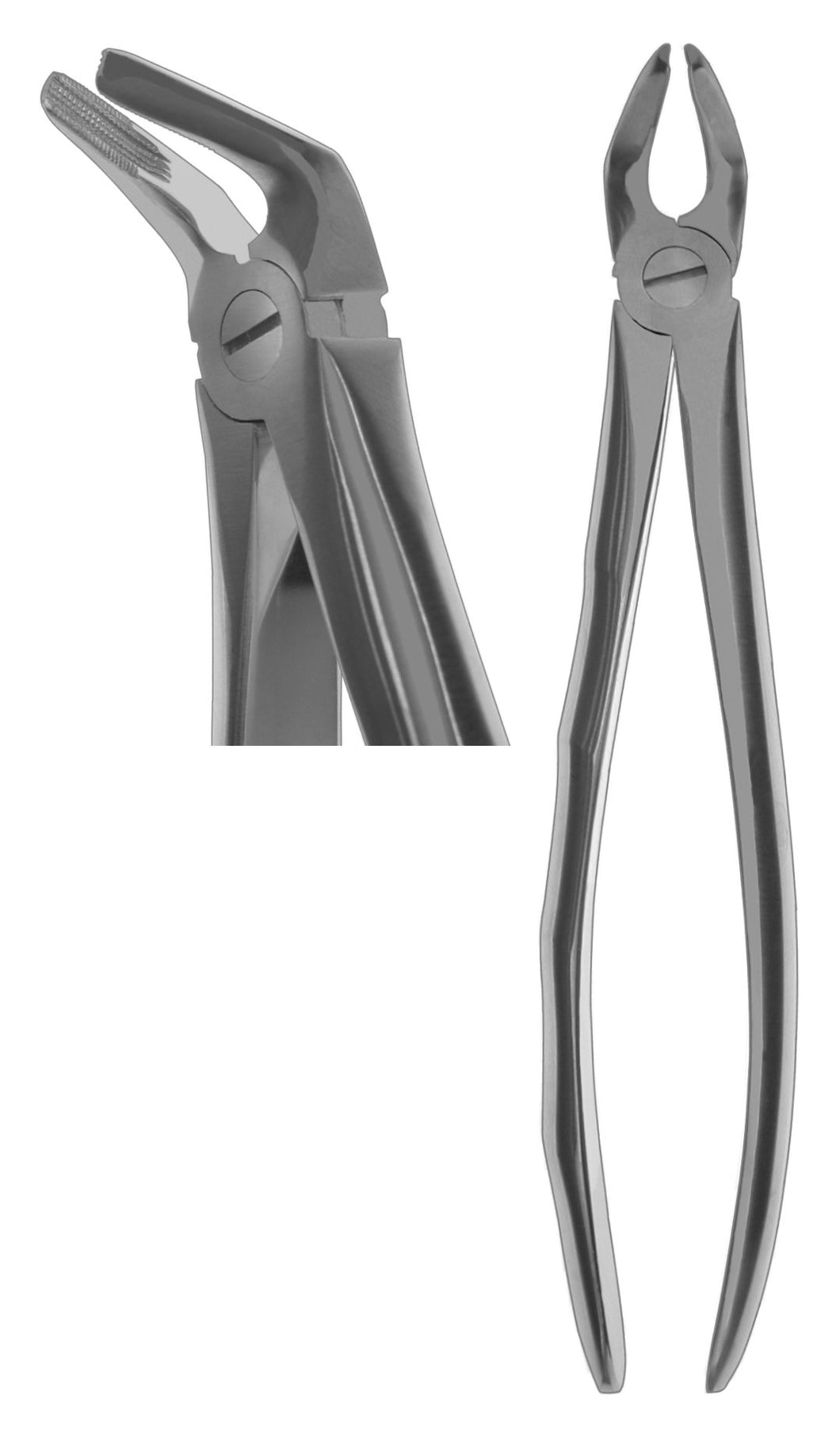 #8N English Forceps (Profile Handle) [Z-2032]